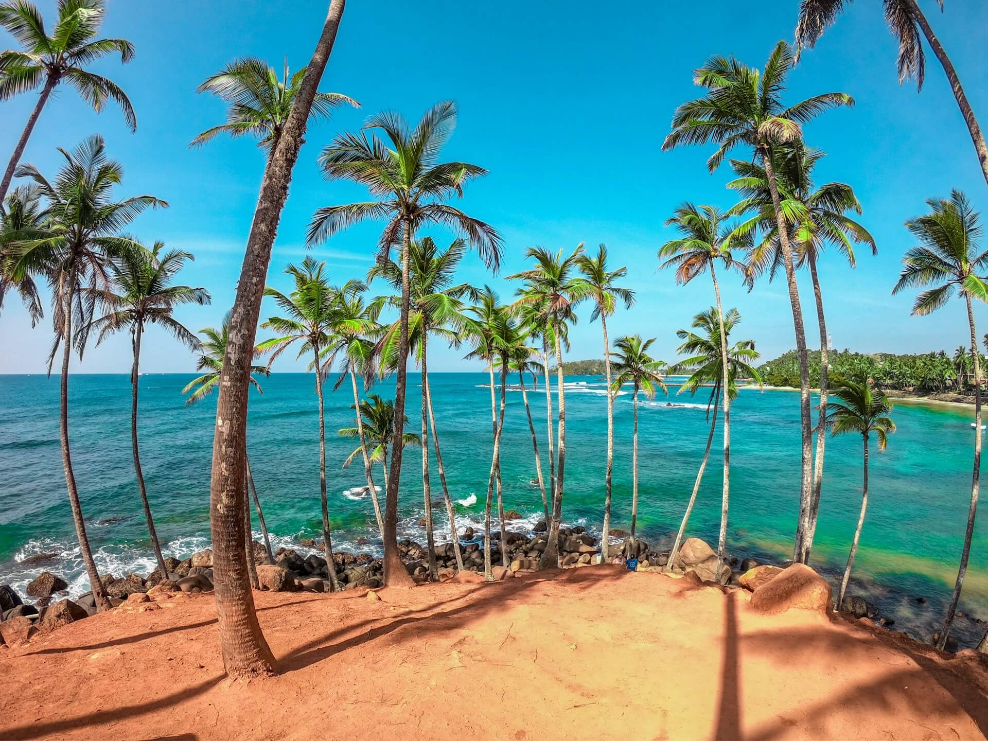 dinuka-lankaloka-iduEaeBB_rQ-unsplash (1)