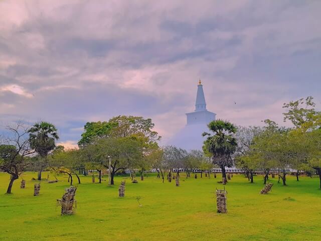 izuru-kannagara-UeSfcl4xreE-unsplash (1)